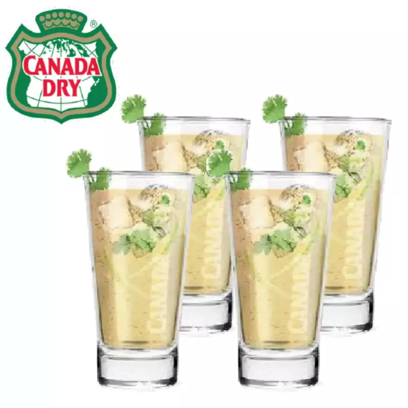 MICHELADA DE CANADRA DRY