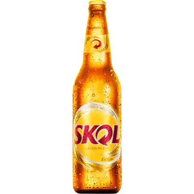 SKOL 600 ml RETORNAVEL