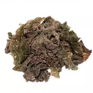 COCHAYUYO (ALGAS )