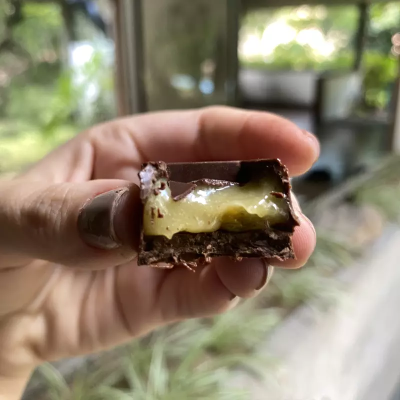 Bombom de pistache Vegano