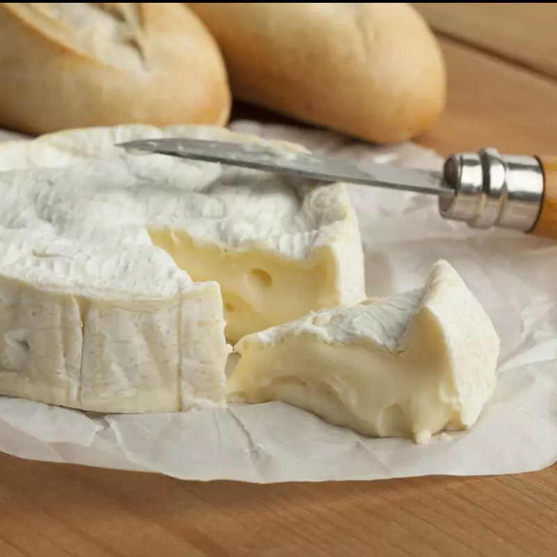 Queso Camembert