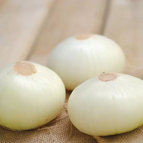 Cebolla cabezona blanca x 500 g