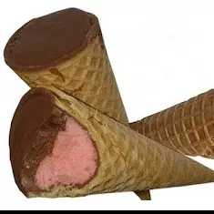 CONE DE NINHO