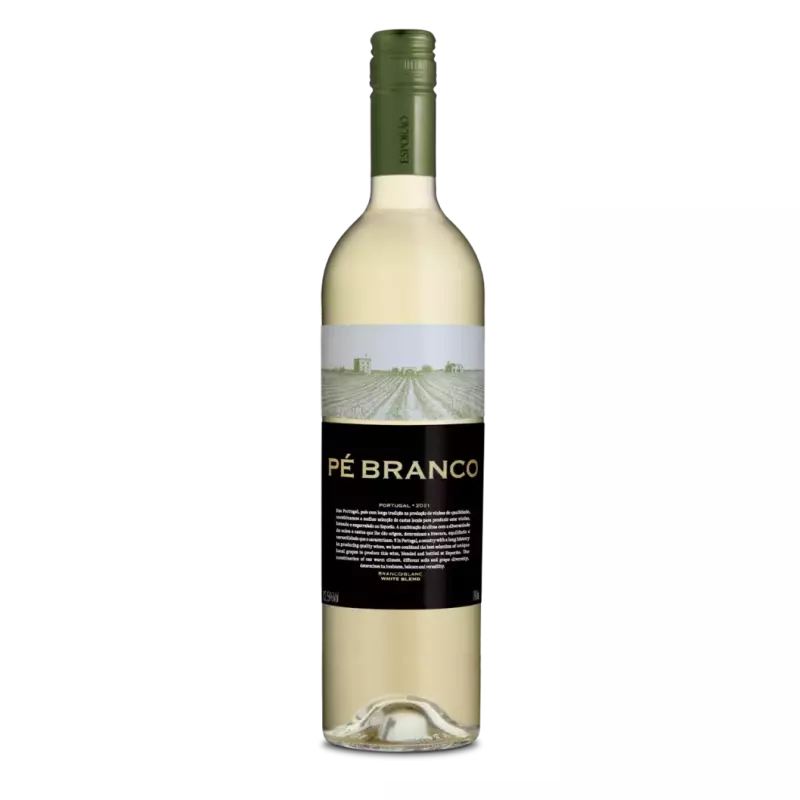 Vinho Pé Branco 2023