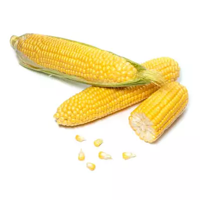 Elote Dulce (1 bandeja)