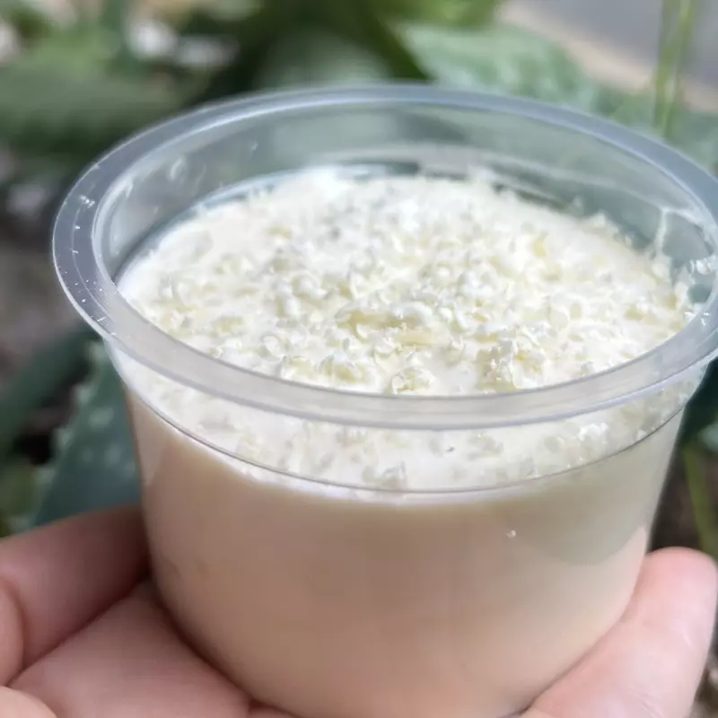 Mousse de chocolate branco lowcarb