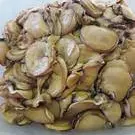 TOSTADA DE GORRO DE MAR