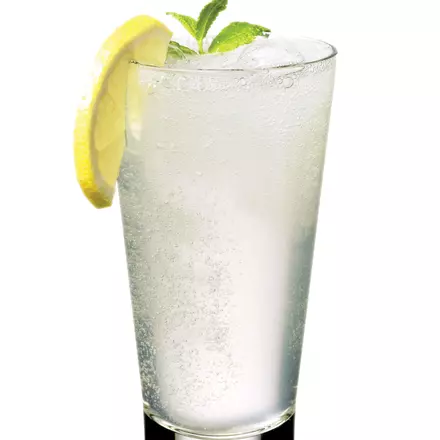 GIN FIZZ - PREMIUM