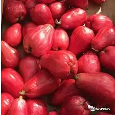 MANZANA DE AGUA KILO