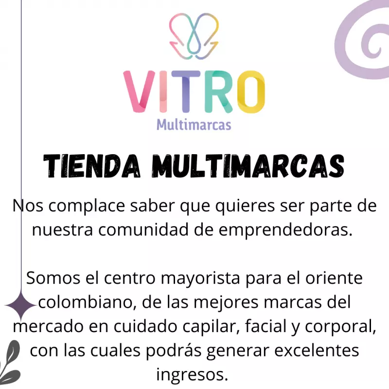 Somos Vitro Inc