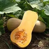 AYOTE MANTEQUILLA KILO