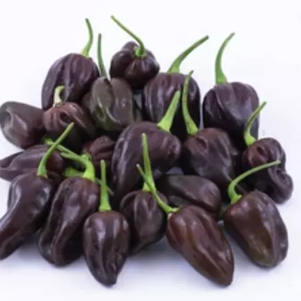 Chile Chocolate (4 onz)