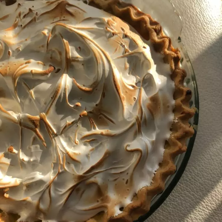 Trozo de pie de limon