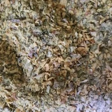 Tempero Ana Maria 100g