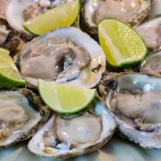 OSTIONES EN SU CONCHA