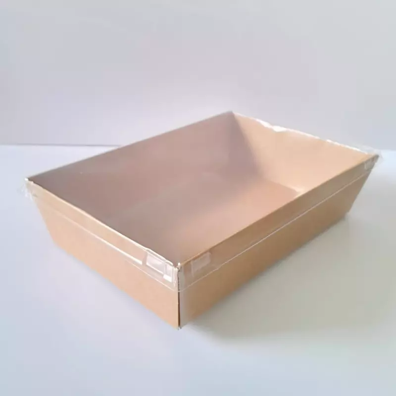 Contenedor cuadrado tapa plana