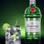 TANQUERAY TRADICIONAL