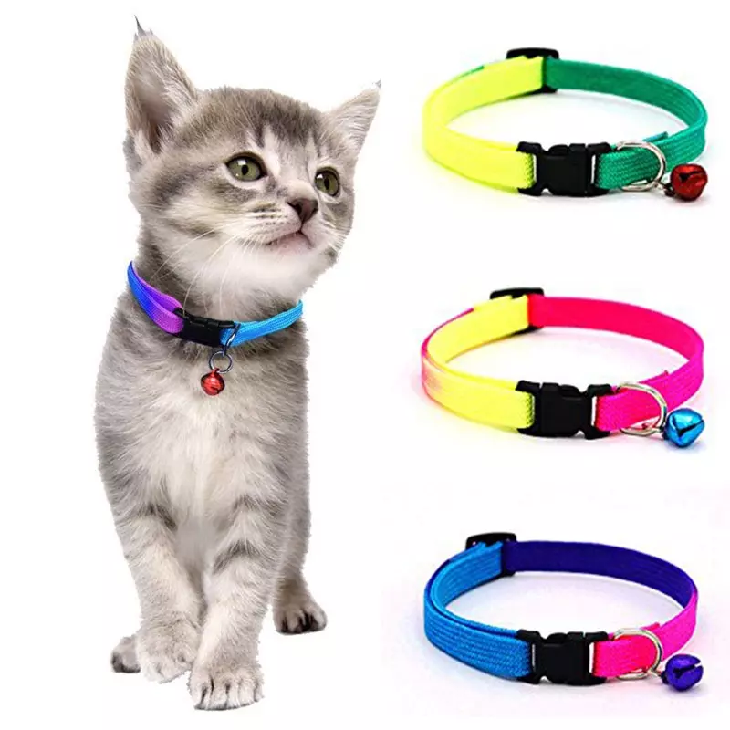 Collar Arcoiris  Gatos y Cachorros