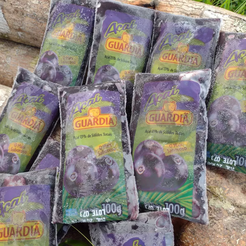 Polpa de açaí 100g