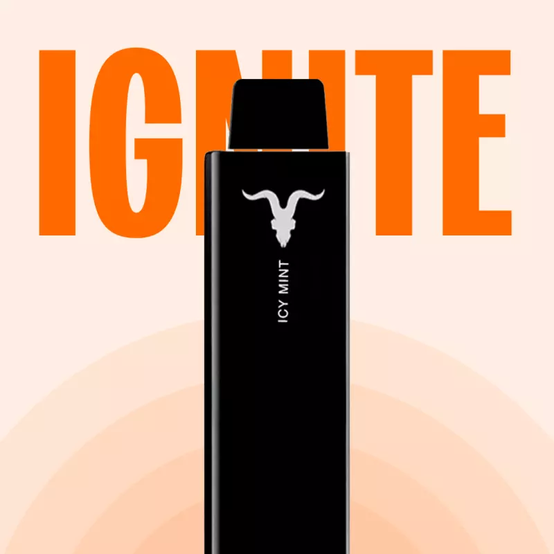 REFIL IGNITE P100