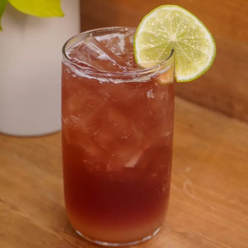 INFUSIÓN FRÍA DE LAVANDA