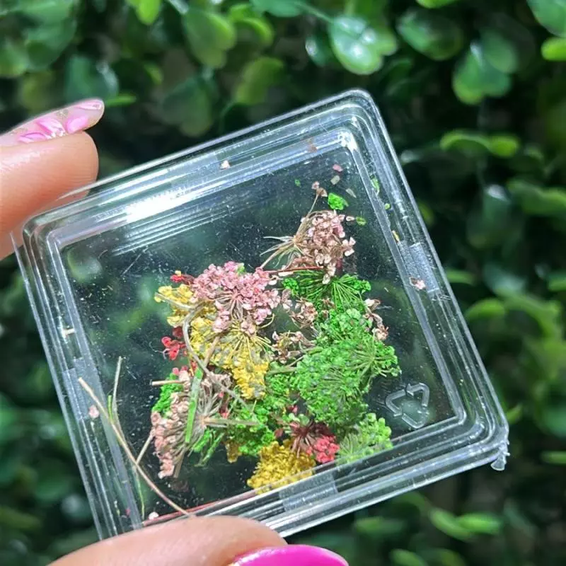 Pote Flor Seca Mix Cod: Flor 1