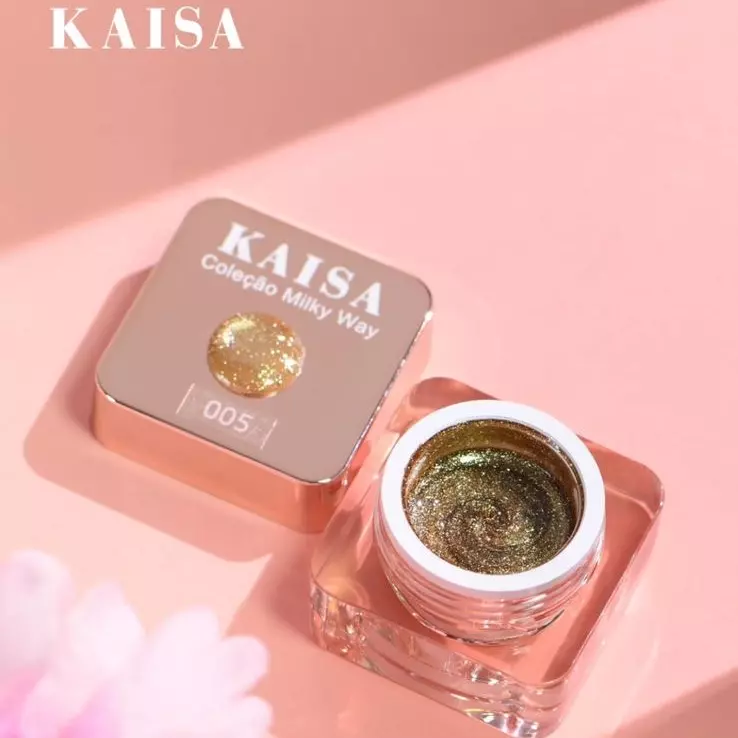 Gel Paint Kaisa Magnético N•005