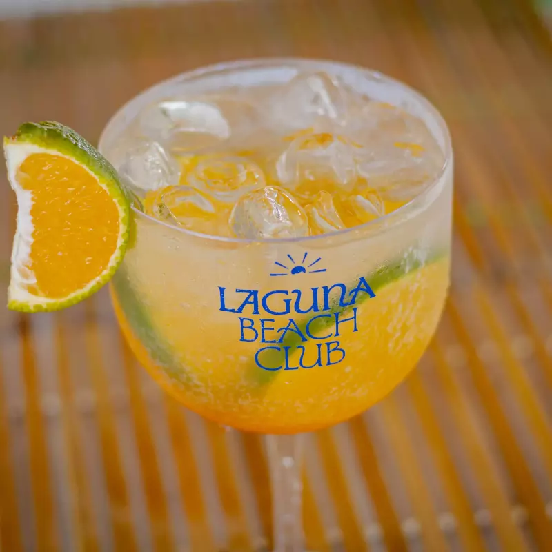 Gin tônica