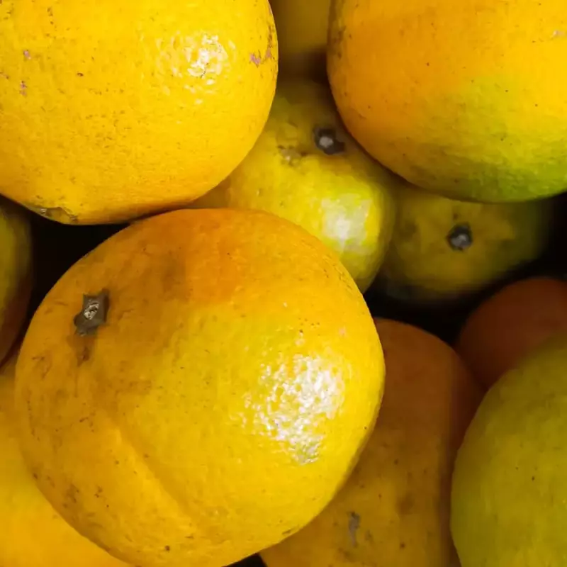 LARANJA PERA ORG. 1kg