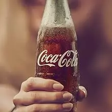 COCACOLA (355ml)