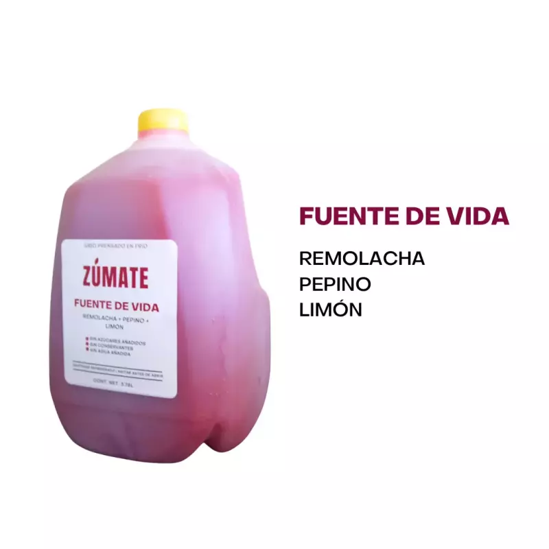 Fuente de Vida