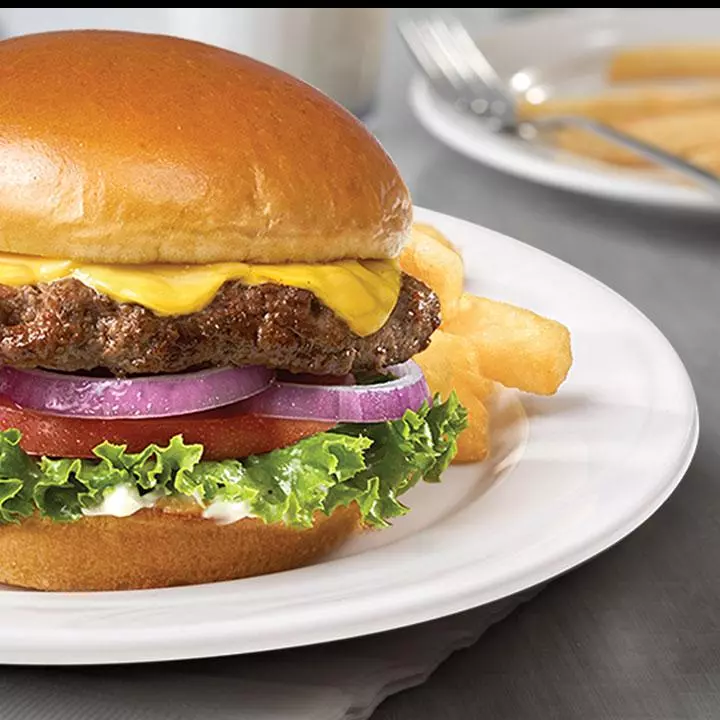cheeeseburger & fries