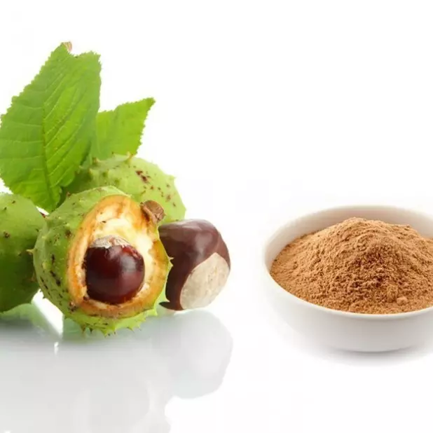Castanha da índia 100g