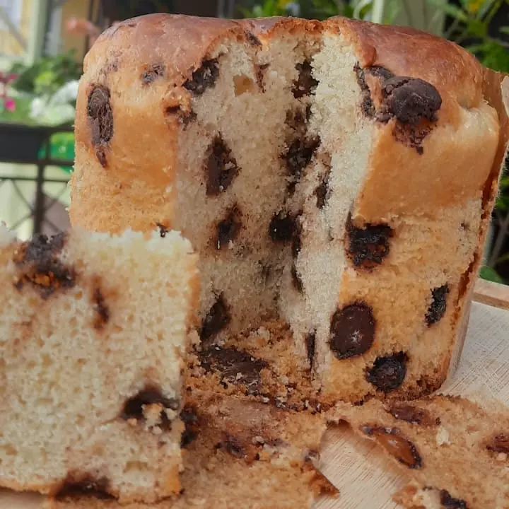 Chocotone/Panetone
