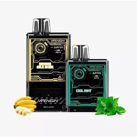 VAPEGIN 20.000 (DOIS SABORES)