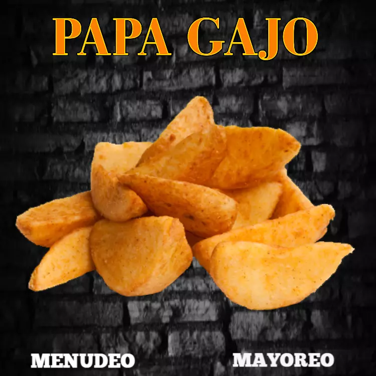 Papa Gajo