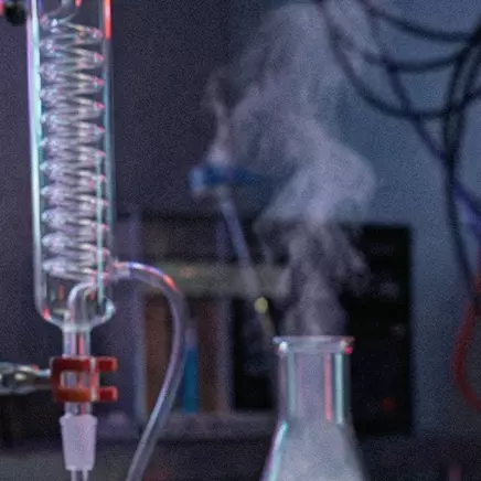 PROTO #03 — COSMOCRIOLLA®