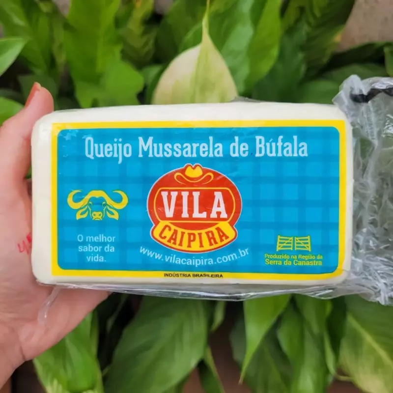 MUSSARELA DE BÚFALA BARRA 550G
