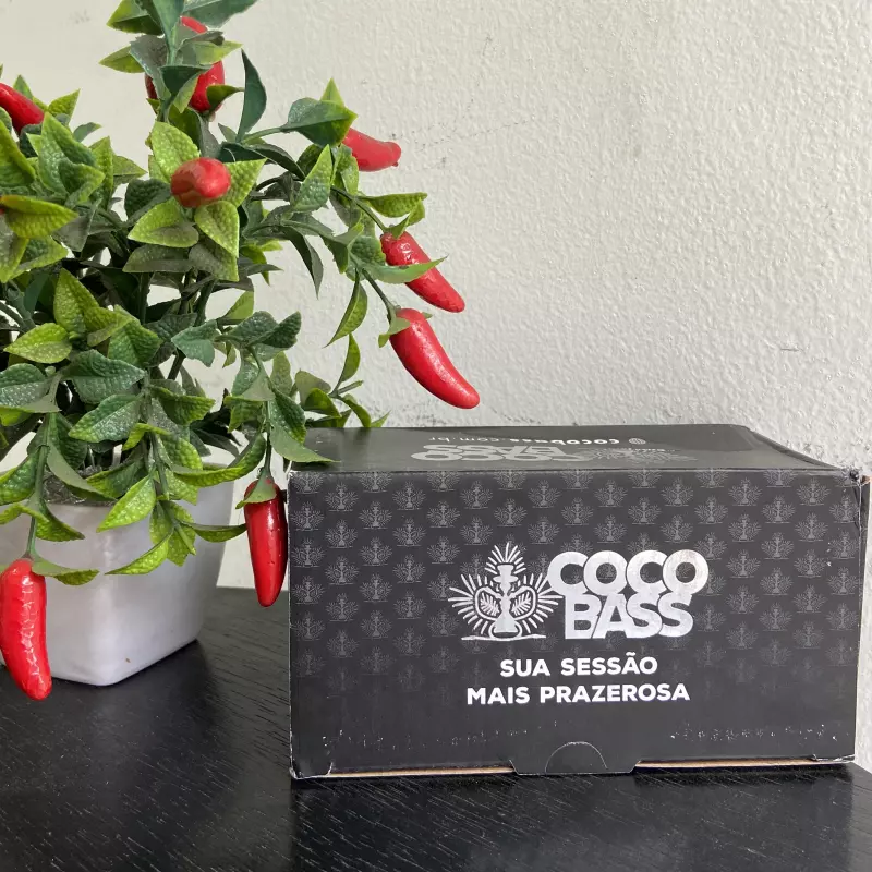 Carvão CocoBass 500g