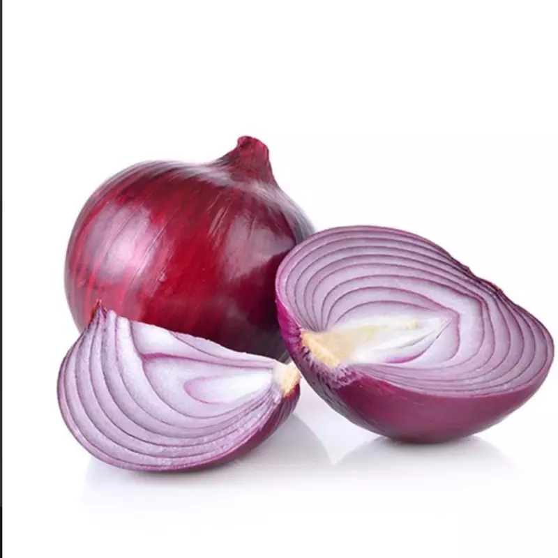 CEBOLA MÉDIA IA - ROXA
