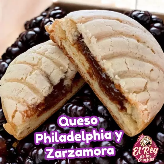 Concha Philadelphia Y zarzamora