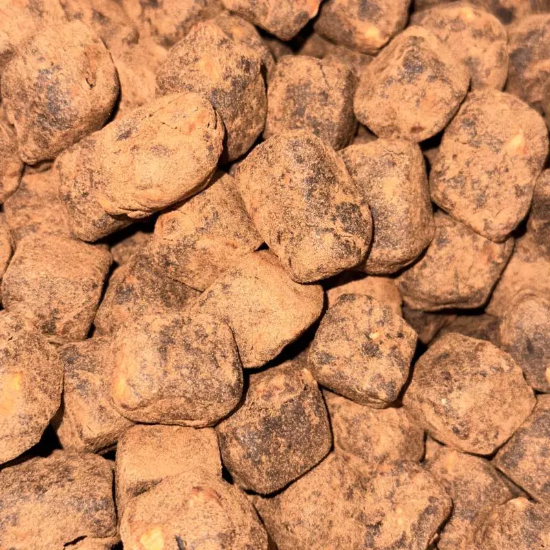 IN CUBS TAMARA E AMENDOA