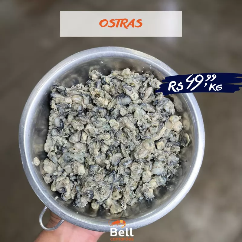 Ostra - PROMOÇÃO INVERNO