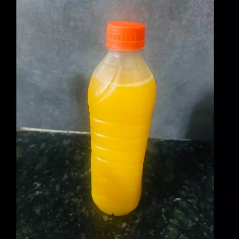 Suco de manga 500ml