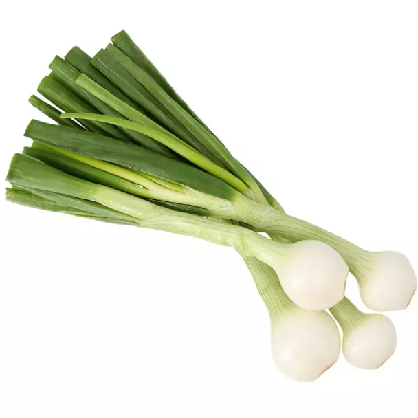 Cebolla con Tallo (1 manojo)