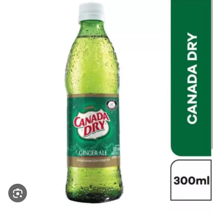 CanadaDry Pet 400