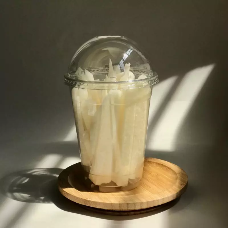 CAJA DE FRUTA VIXY, JICAMA