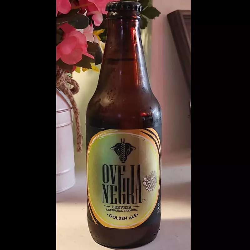GOLDEN ALE - Oveja Negra