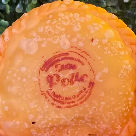 Pollo