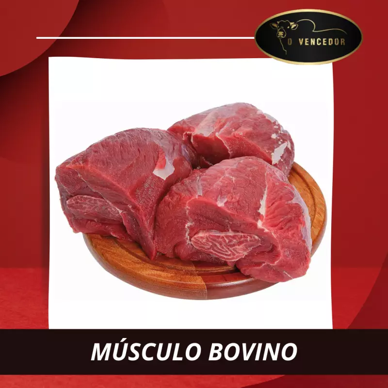 MÚSCULO BOVINO